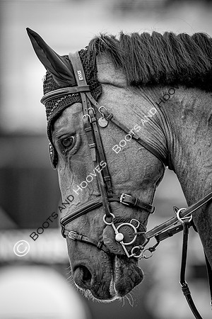 LGCT  London