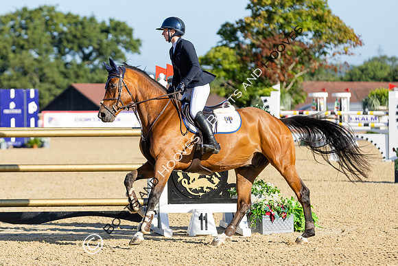 The Al Shira'aa British Young Horse Championships