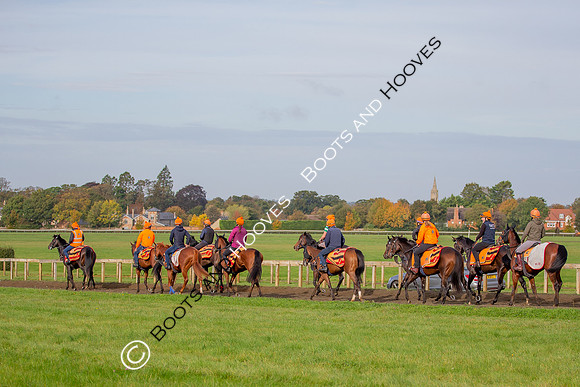 Newmarket