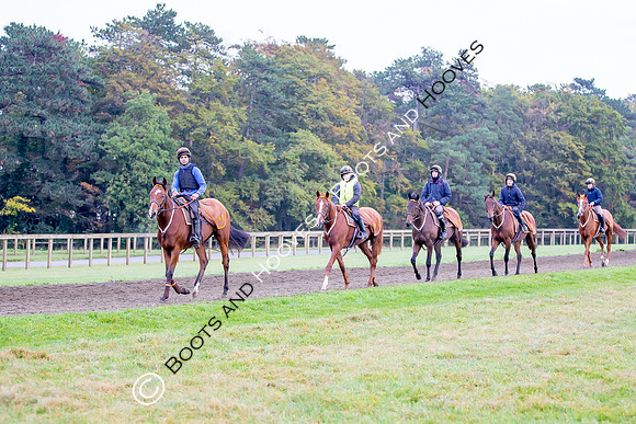 Newmarket