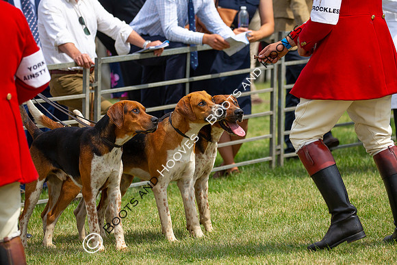 Festival of Hunting