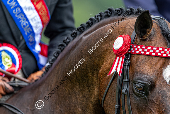 The Prenetics Royal International Horse Show
