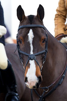 East Essex Hunt. Ladies Day. 29/01/2019 ~ MANDATORY Credit Elli Birch/Bootsandhooves - NO UNAUTHORISED USE - 07745 909676