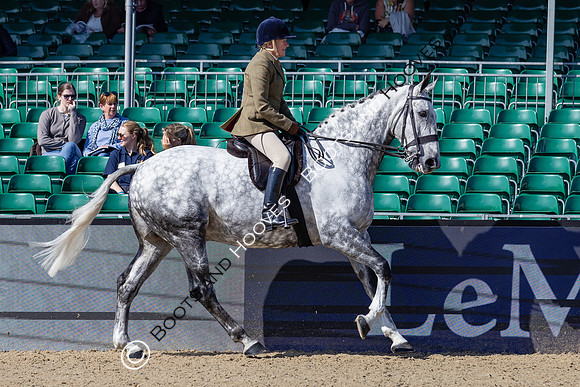 Royal Windsor Horse Show