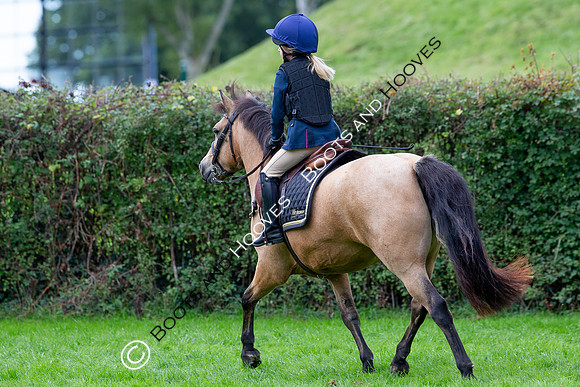 Science Supplements All England Jumping Championships