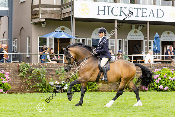 The Agria Royal International Horse Show