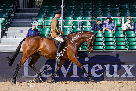 Royal Windsor Horse Show
