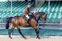 Royal Windsor Horse Show