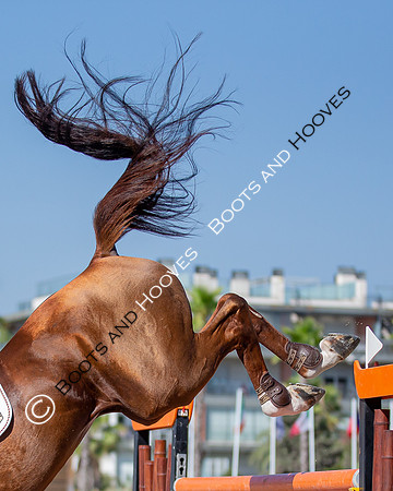 FEI Junior European Championship Young Riders, Juniors & Childre