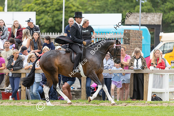 The Royal International Horse Show