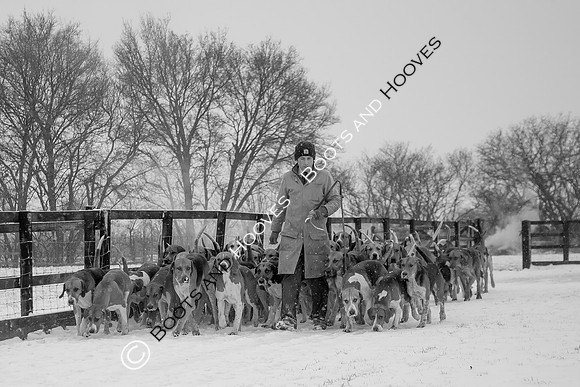 Hound Exercise