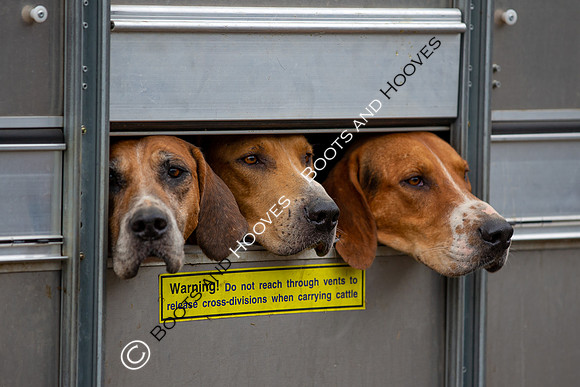 EWFUH
