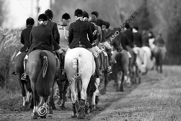 East Essex Hunt. Ladies Day. 29/01/2019 ~ MANDATORY Credit Elli Birch/Bootsandhooves - NO UNAUTHORISED USE - 07745 909676