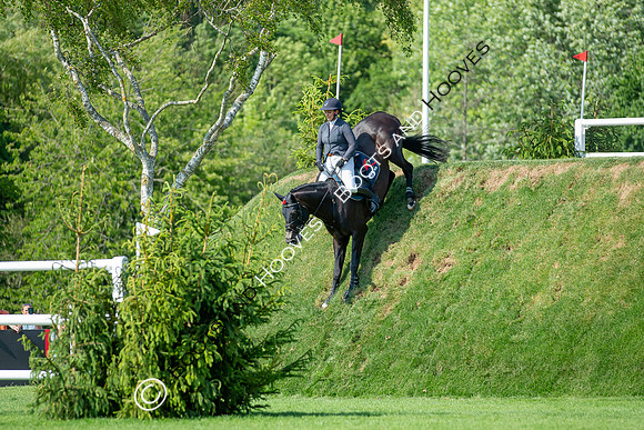 The Al Shira’aa Hickstead Derby Meetin