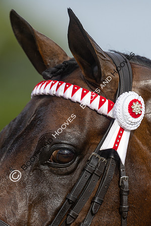 The Royal International Horse Show