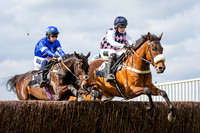 The High Easter Racing Club Point to Point
