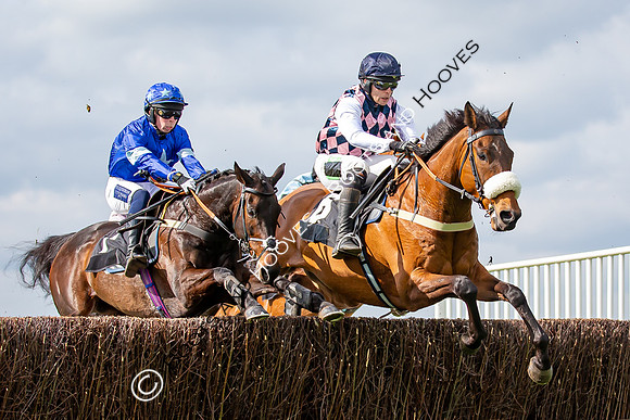 The High Easter Racing Club Point to Point