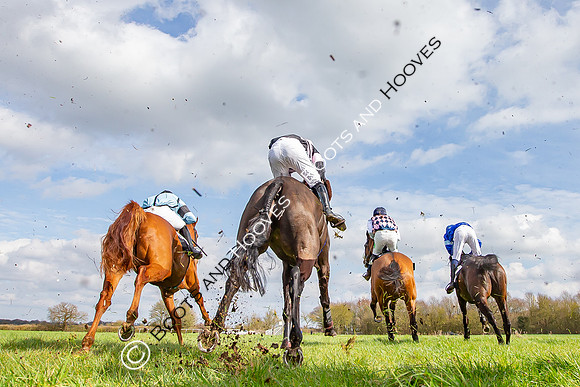 The High Easter Racing Club Point to Point