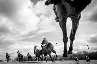 The High Easter Racing Club Point to Point