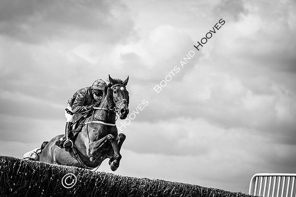 The High Easter Racing Club Point to Point