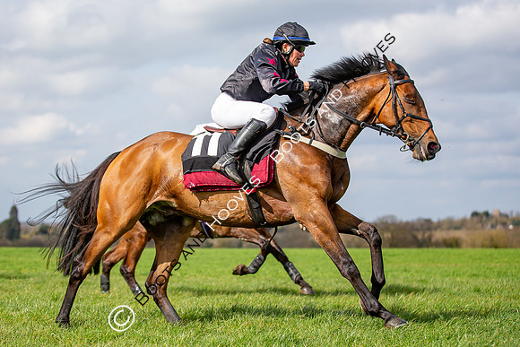 The High Easter Racing Club Point to Point