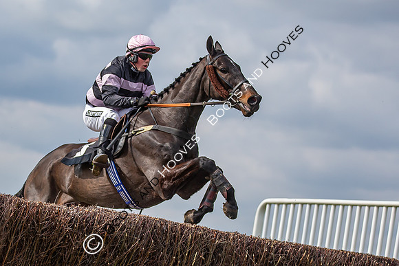 The High Easter Racing Club Point to Point