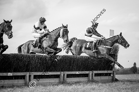The High Easter Racing Club Point to Point