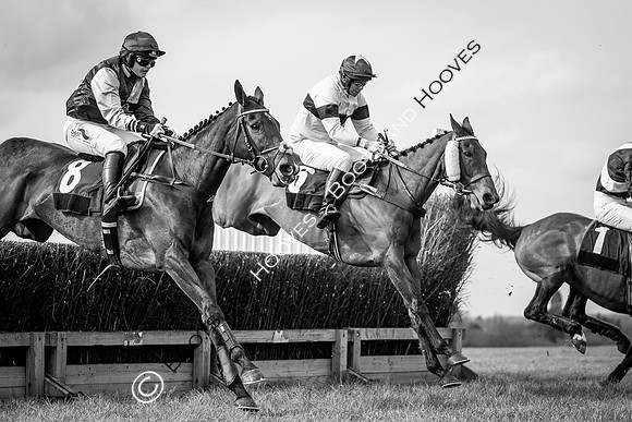 The High Easter Racing Club Point to Point