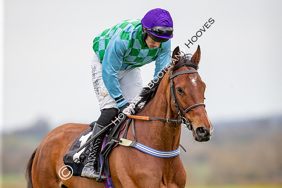 The High Easter Racing Club Point to Point