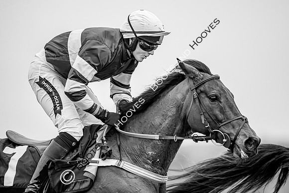 The High Easter Racing Club Point to Point