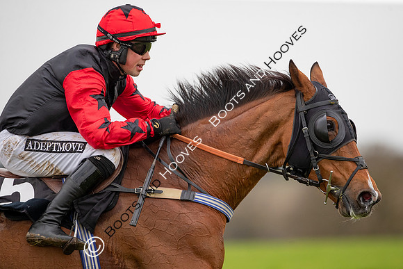 The High Easter Racing Club Point to Point