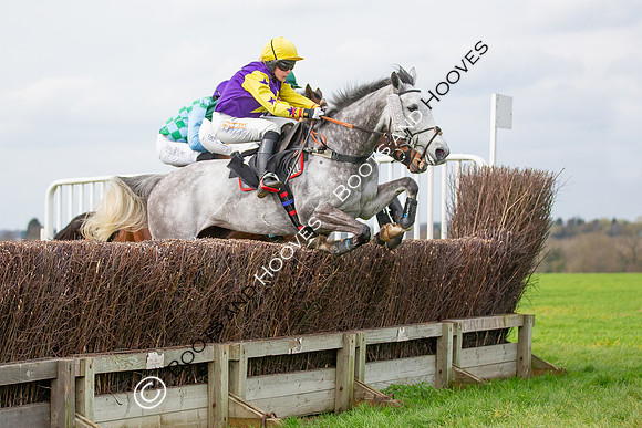 The High Easter Racing Club Point to Point