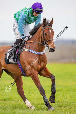The High Easter Racing Club Point to Point