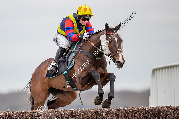 The High Easter Racing Club Point to Point