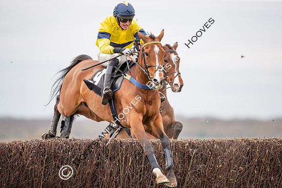 The High Easter Racing Club Point to Point