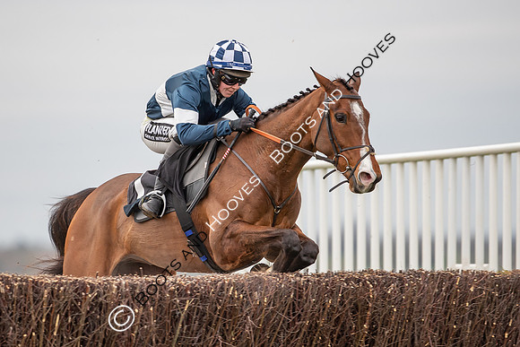 The High Easter Racing Club Point to Point