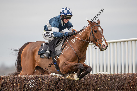 The High Easter Racing Club Point to Point