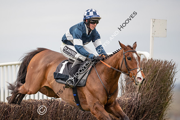 The High Easter Racing Club Point to Point