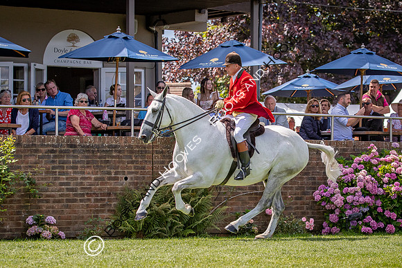 The AGRIA Royal International Horse Show