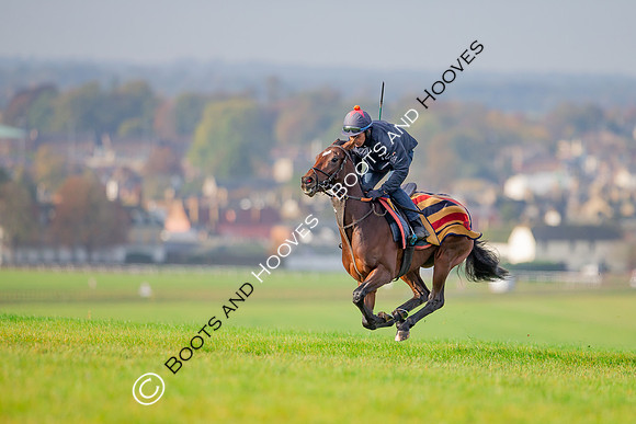 Newmarket