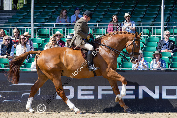 Royal Windsor Horse Show