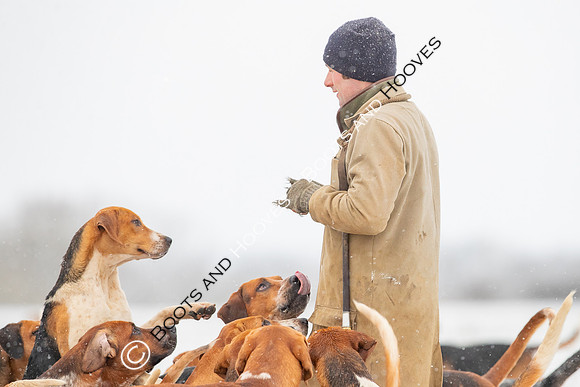 Hound Exercise