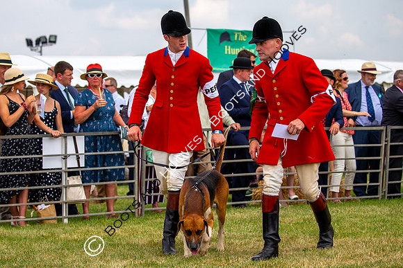Festival of Hunting