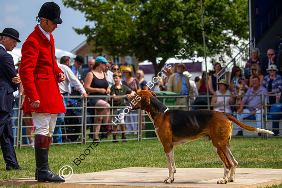 Festival of Hunting