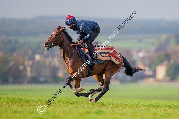 Newmarket