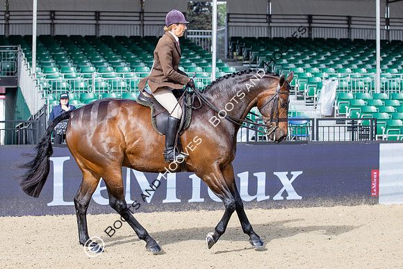 Royal Windsor Horse Show
