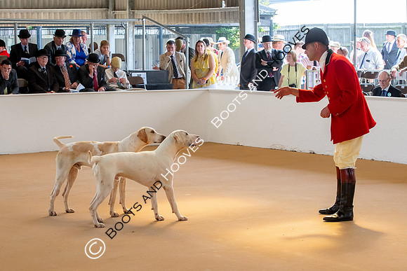 Festival of Hunting