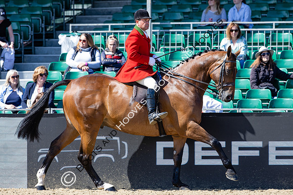 Royal Windsor Horse Show