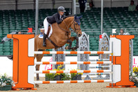 Royal Windsor Horse Show