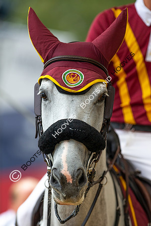 LGCT London